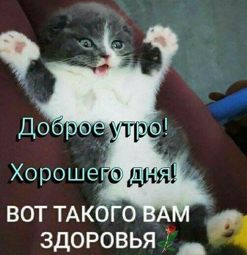 Вадим