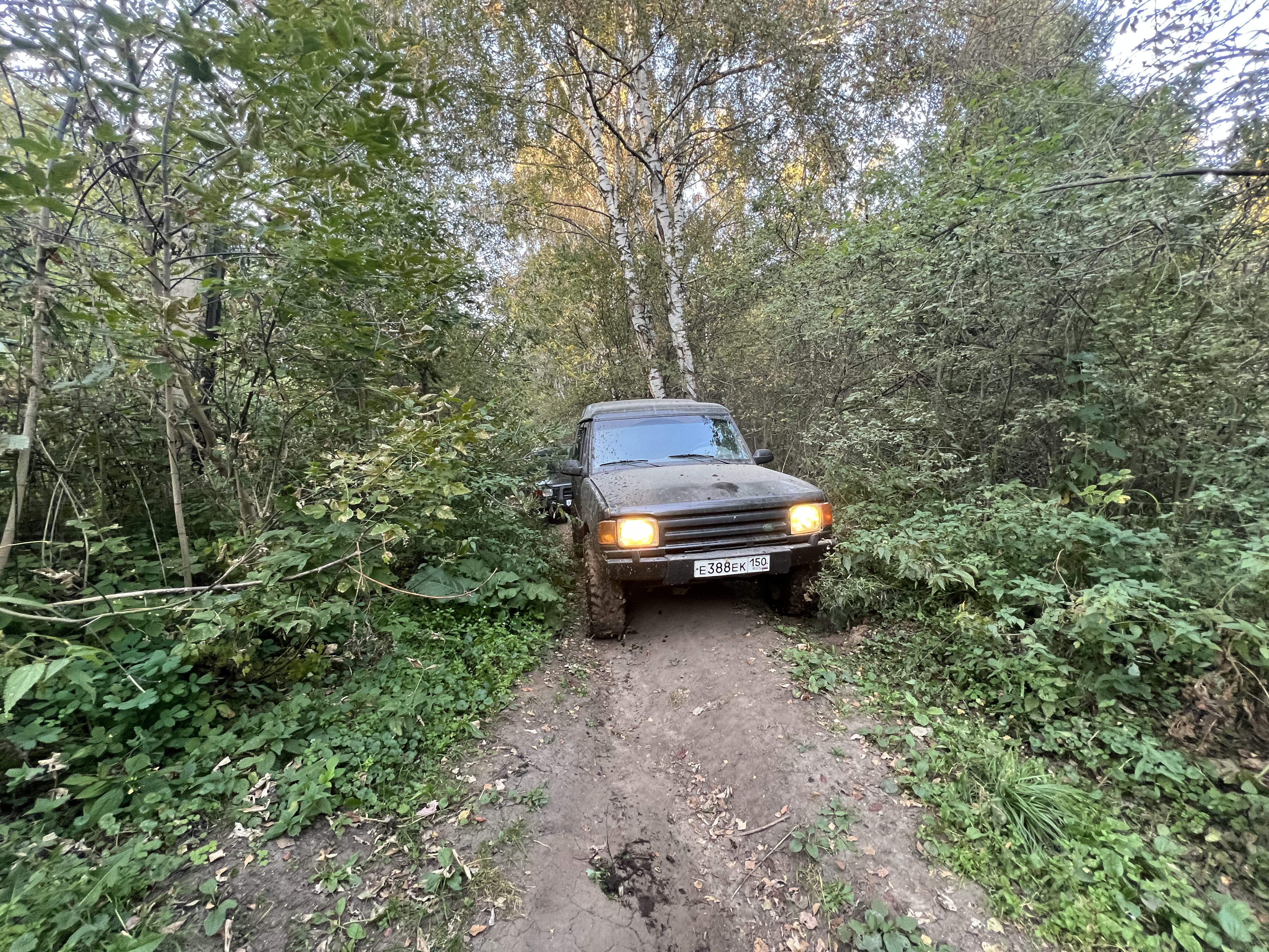 Антон