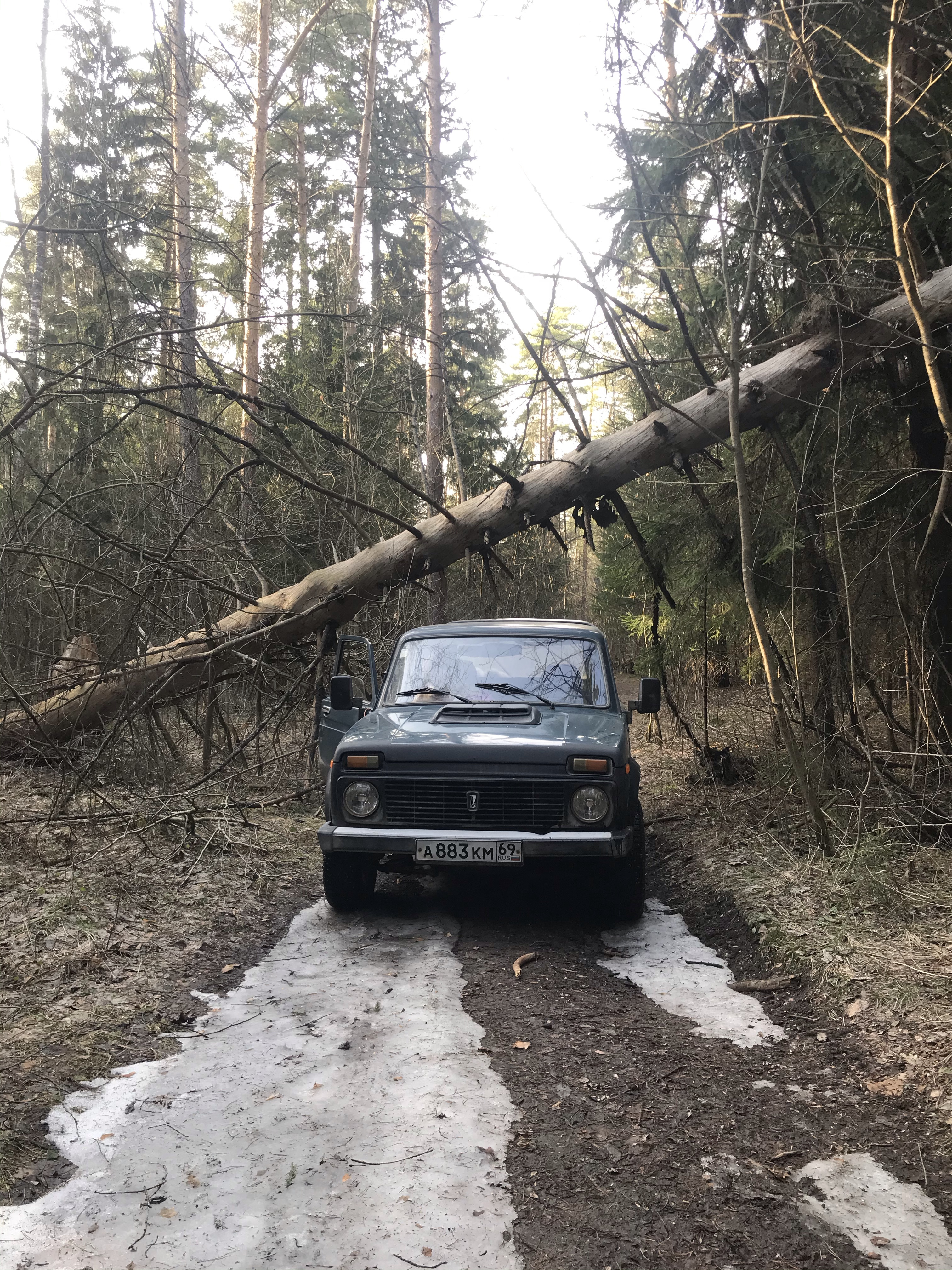 Илья