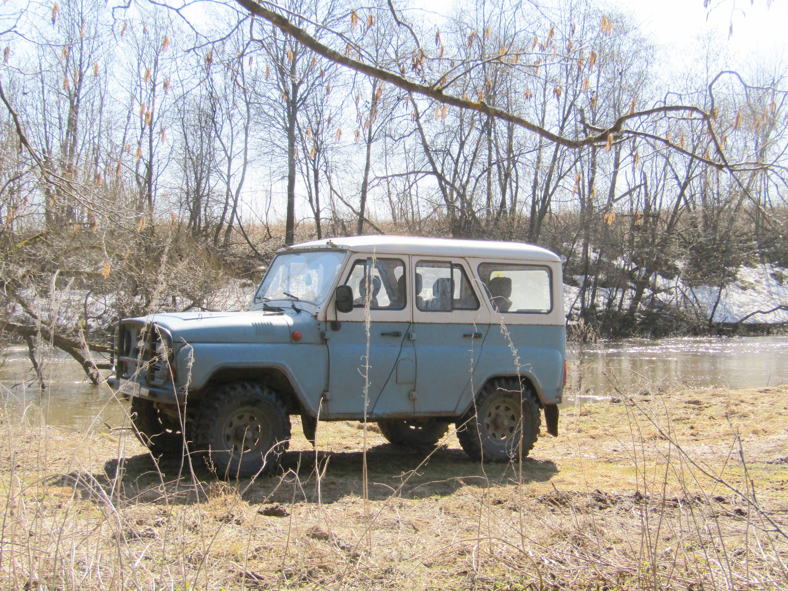 Барс