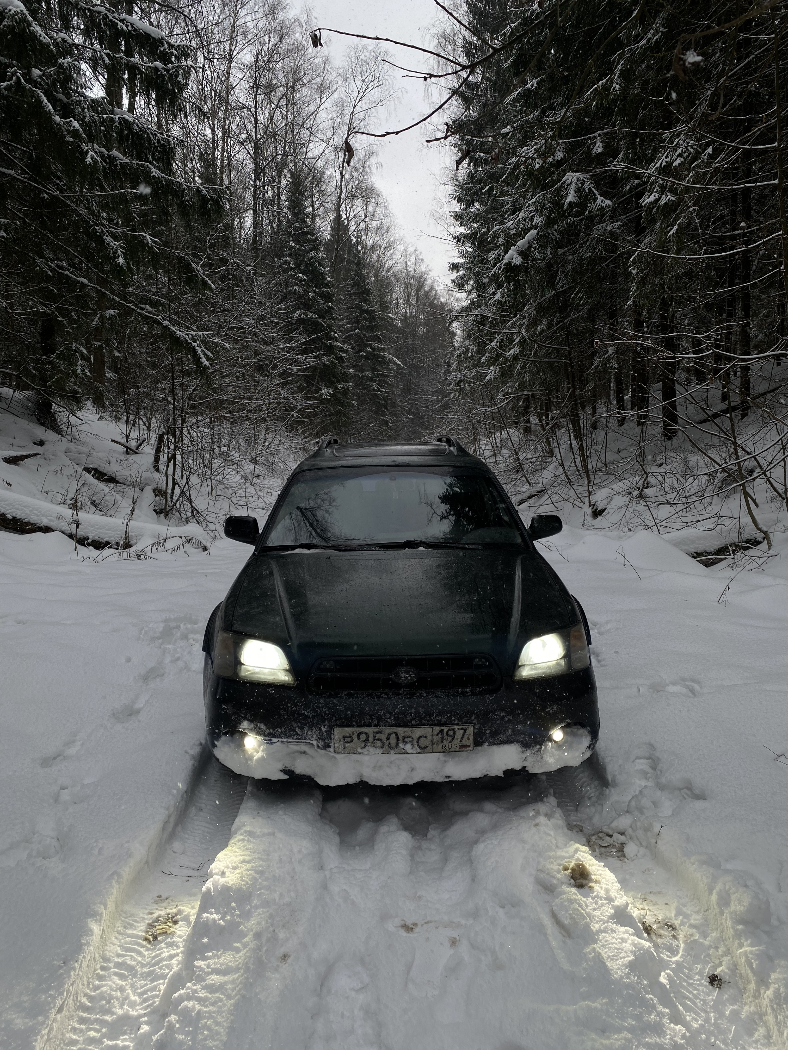 Глеб