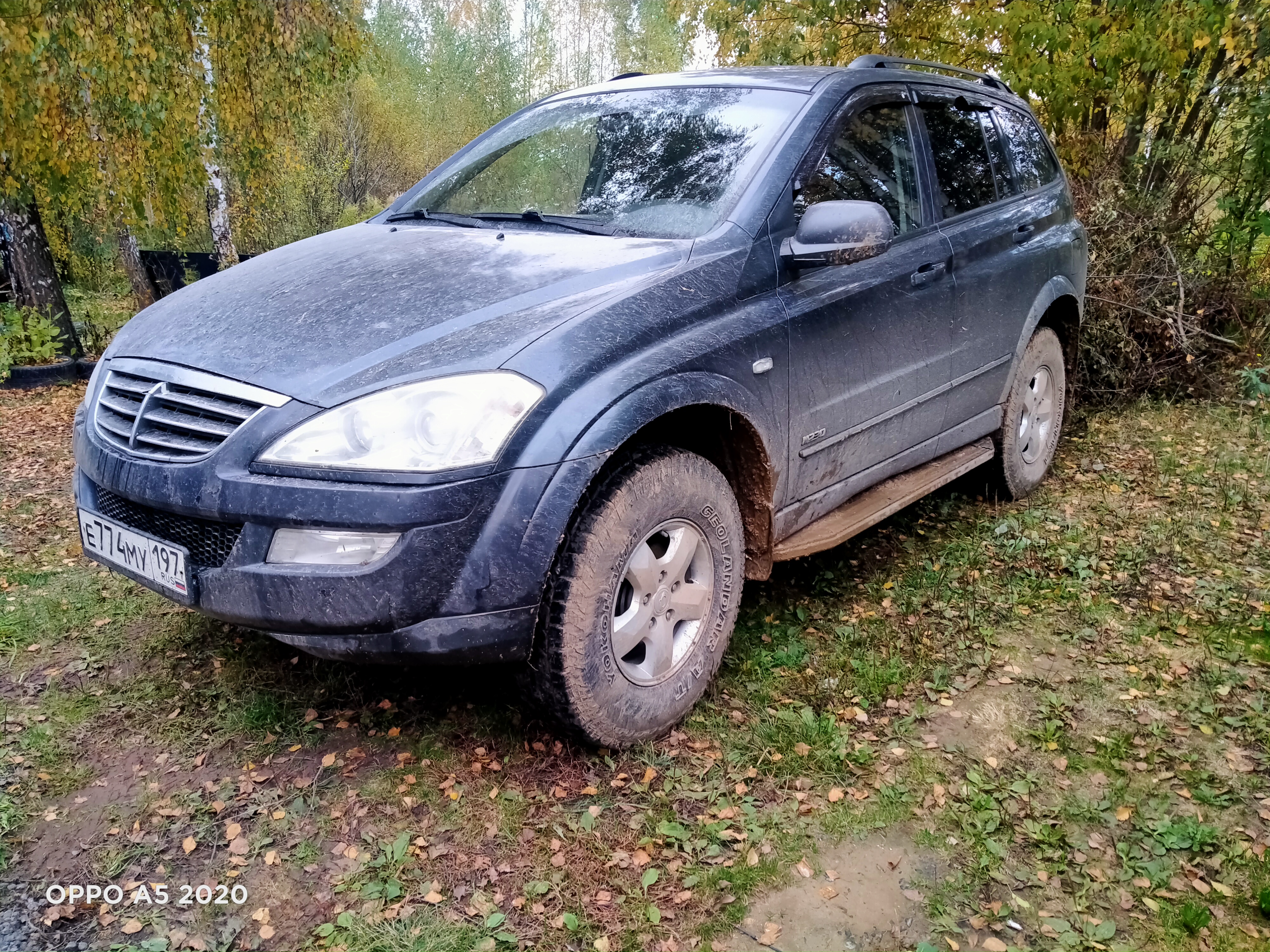 Пельмень