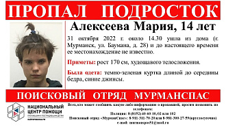 https://vk.com/wall-182044162_62481 вытащить застрявшую машину пропал ребенок