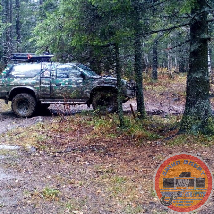 nissan terrano1 Россия
