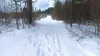прошу помощи, застрял при выезде после снегопада, до центральной дороги 200 метров по рыхлому снегу (нечищенная дорога) вытащить застрявшую машину ford focus