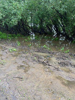 помогите, приехали с рыбалки а вода прибыла, кругом чача, не знаем что делать  вытащить застрявшую машину Ваз 
