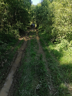помогите пожалуйста,  застряли две нивы. Обе сидят на брюхе, в лесной колее.  вытащить застрявшую машину Ваз  , ваз 