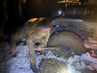 прошу помощи, приехал на помощь военный Урал и сел на целине,кто осилет? вытащить застрявшую машину Урал военный