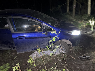 помогите пожалуйста, застряли в лесу, до ближайшего населеного пункта далеко, не дойдем, звери съедят.  вытащить застрявшую машину Форд фиеста