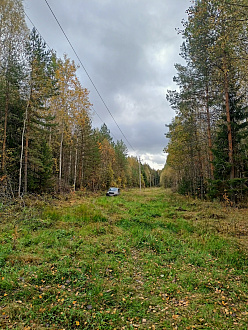 помогите, застряли в 50 м от дороги, около ЛЭП в лесу вытащить застрявшую машину УАЗ Патриот