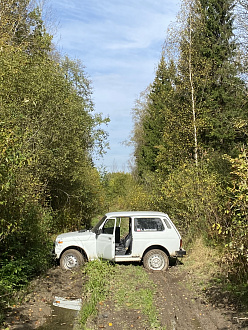 помогите пожалуйста,  застряли с девушкой в лесу. Нужно просто из колеи дёрнуть  вытащить застрявшую машину Нива