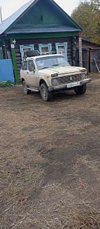 прошу помощи, застрял в грязи в 100 метрах от асфальта вытащить застрявшую машину Нива
