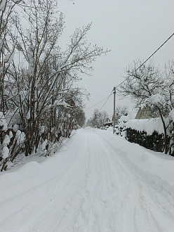 Спустился в снт вниз, а подняться не могу вытащить застрявшую машину Ford transit