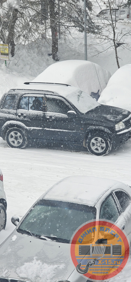 фото застрявшего Suzuki Grand Vitara 
