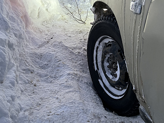 помогите пожалуйста,   вытащить застрявшую машину ваз
