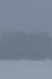 Машина Лада гранта, не запускается, искра есть, топливо поступает, но как будто давление слабое, на улице метель, замерзаем потихоньку  вытащить застрявшую машину не указано