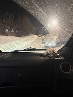 Забрали на подъемы в горку, 100 м до асфальта. вытащить застрявшую машину Газель скорая помощь