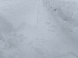 Добрый день. Есть ли у нас в Кашире и окрестностях те, кто может помочь с прокаткой последних 400 метров до дачи, заваленных снегопадом 16-20 февраля? Попытка проехать вчера в одну машину не удалась. Исходные данные — стандартный Патриот, 245/70/16 зима, давление 0,7.  Проехал метров 10-15 и понял, что если сяду вытаскивать меня будет некому. В принципе машина при таком давлении глубоко не проваливается, но трудно понять где шла дорога, а упираясь в старый бруствер уже не едет. Первый участок — был расчищен до февралских снегопадов, но достаточно узко. Второй участок (прямая улица) чистили один раз в начале января, там прокатывал свою колею, а 14-15 февраля удалось ее раскатать и утрамбовать до ширины двух колес. Исходя из пройденных мною метров — машина на стравленных 31-33 скорее всего сможет там проехать и накатать колею, снег сейчас прекрасно уплотняется. Но лучше чтобы была и вторая машина для подстраховки. Развернуться можно будет на перекрестке в конце участка 2 чере поворот направо-назад. Налево не получится — там куча жесткого снега. вытащить застрявшую машину не указано