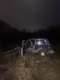 Застрял в прелеске хотел проехать к лесу после чего не заметил топь машина зашла на половину колес в грязи вытащить застрявшую машину ваз нива