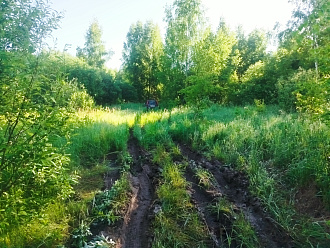 Застрял в лесу, в колее, по дороге на рыбалку, до жёсткого покрытия 100 метров, до асфальтовой дороги 1,5км, автомобиль лег на защиту картера, технически исправен вытащить застрявшую машину Nissan