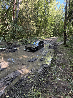 Доброго дня , родители застряли в лесу когда поехали за грибами , машина села на мост , подъезд до машины хороший вытащить застрявшую машину Нива 4х4