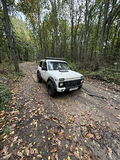 помогите пожалуйста, проехал по глубокой лужи, машина заглохла и больше не заводится, нет крюка и троса. Нужно буксировать до деревни Карабатово  вытащить застрявшую машину нива 